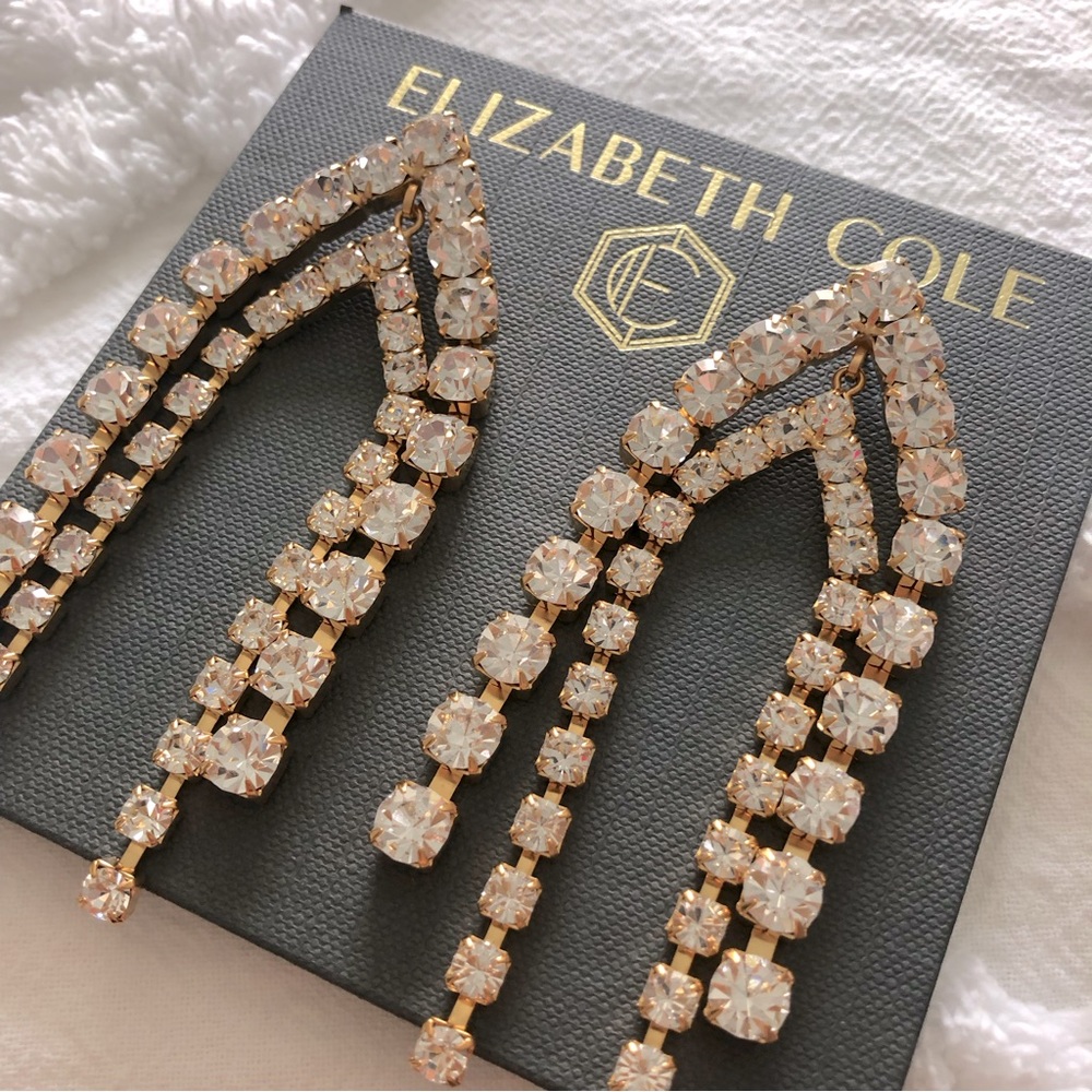 NWT Elizabeth Cole Statement Darra crystal earrings
